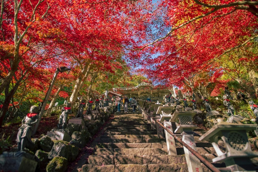 🏯 아메후리 산 오야마 절 (아메후리야마 오야마데라) 이미지 6